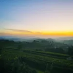 Sul Bric Dei Capalot Daire La Morra