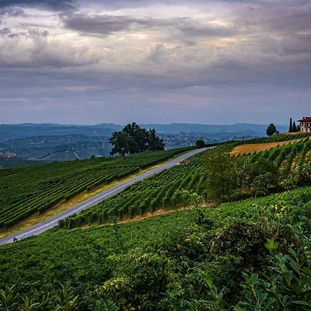 Sul Bric Dei Capalot * La Morra