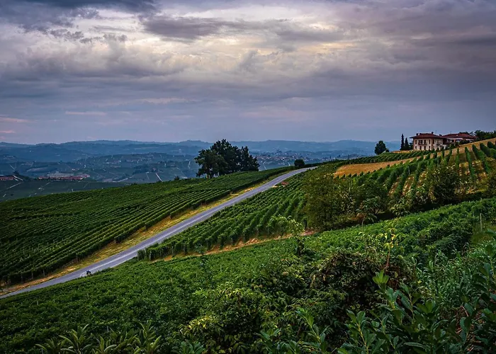 Sul Bric Dei Capalot * La Morra